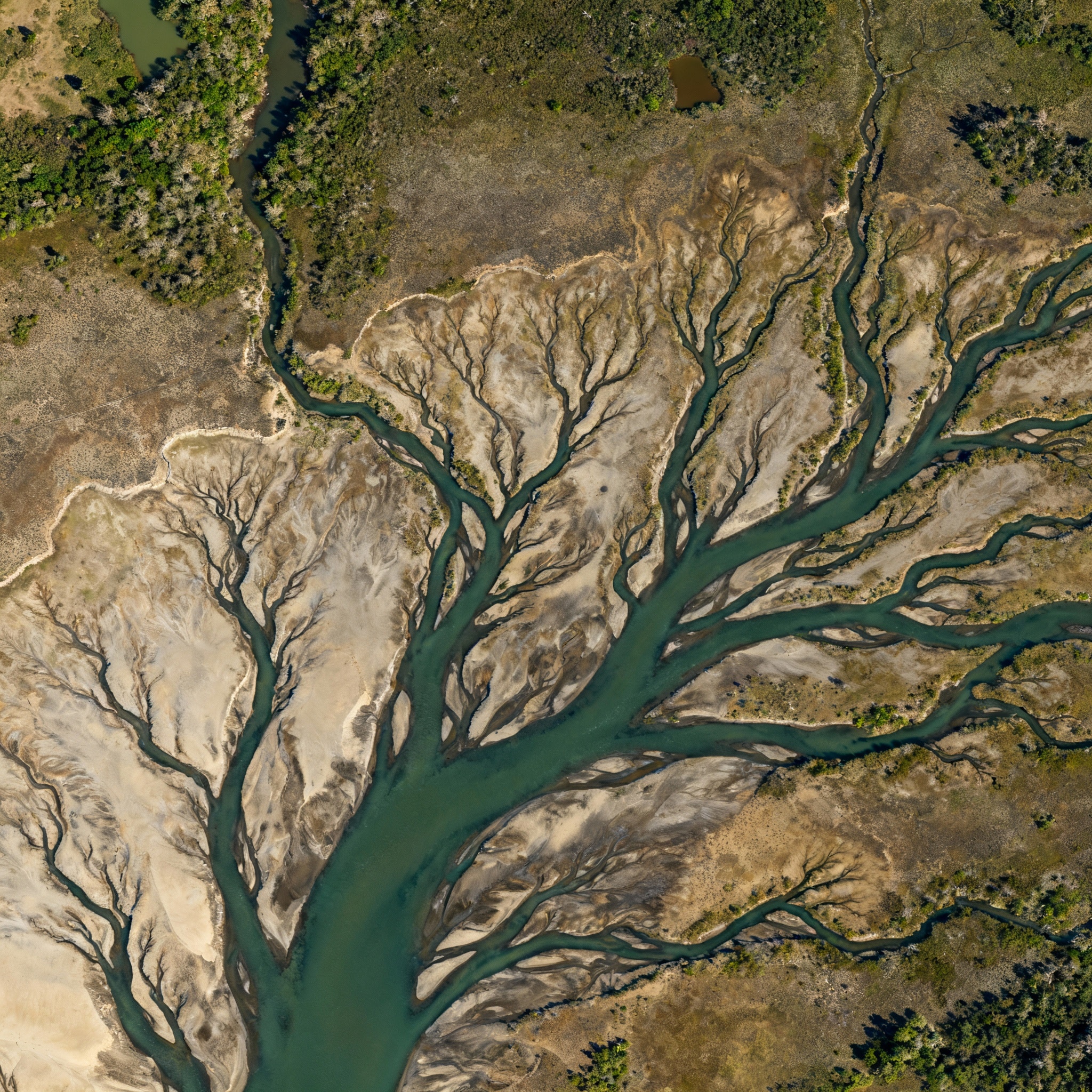 Digital MRV Background